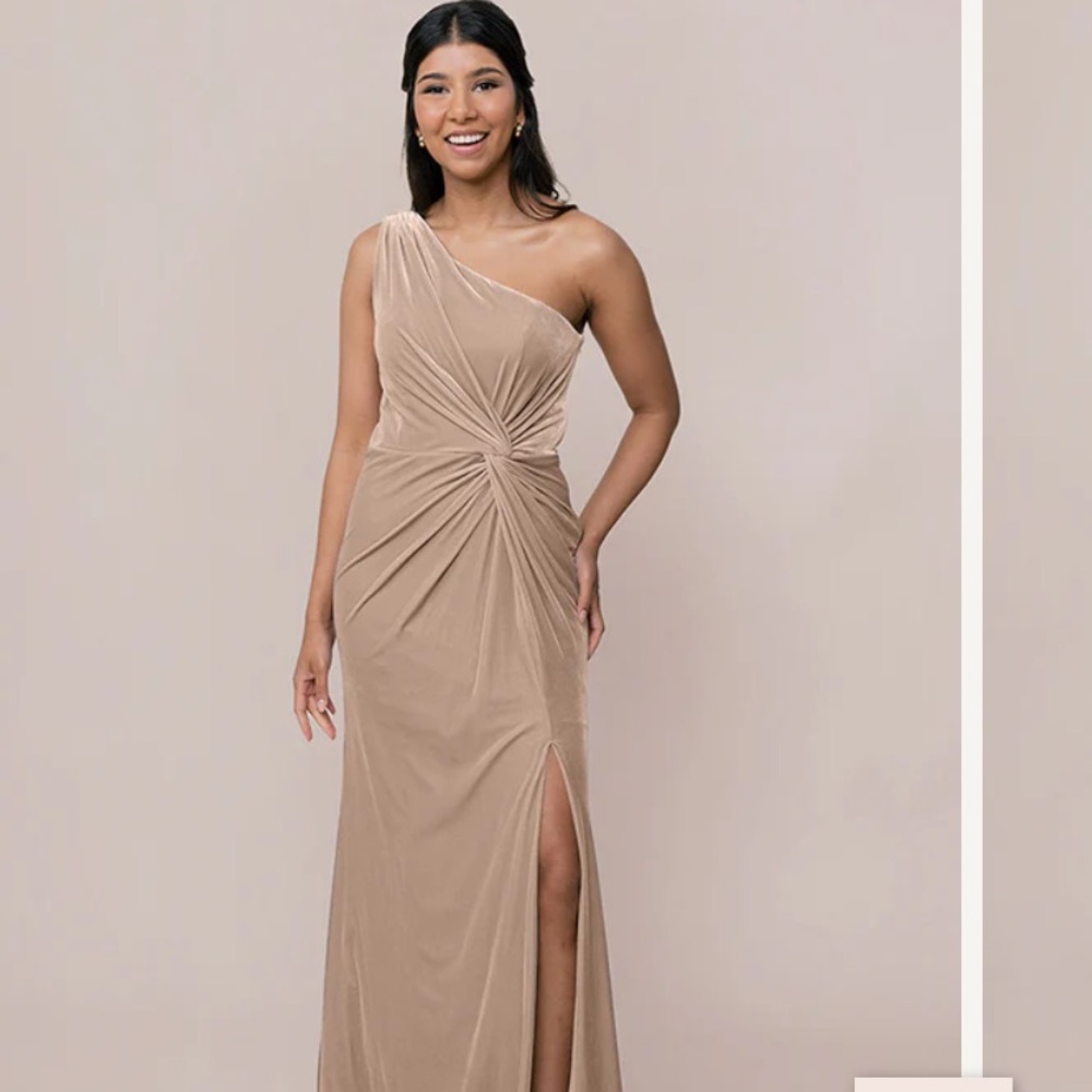 Revelry velvet dress